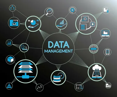Master Data Management Software